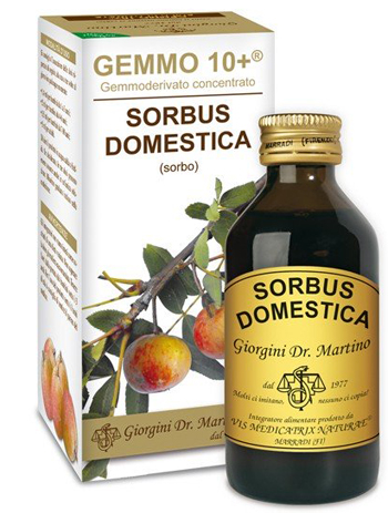 SORBO ANALCO GEMMO 10+ 100 ML - latuafarmacia.org