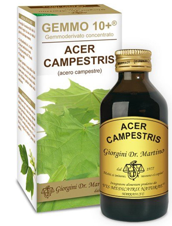 GEMMO 10+ ACERO CAMPESTRE 100 ML LIQUIDO ANALCOLICO - latuafarmacia.org