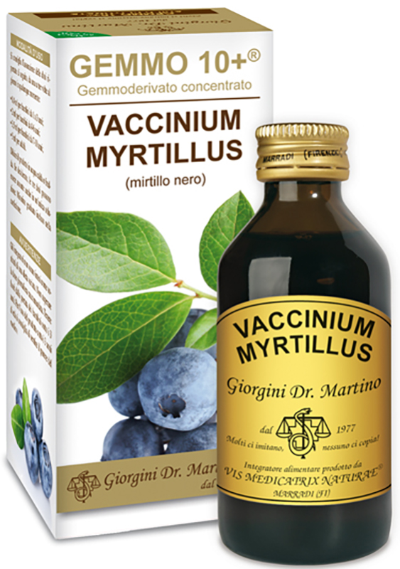 GEMMO 10+ GEMMODERIVATO CONCENTRATO VACCINIUM MYRTILLUS MIRTILLO NERO SENZA ALCOOL 100 ML - latuafarmacia.org