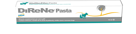 DIRENE PASTA 15 ML - latuafarmacia.org