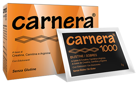 CARNERA 1000 18 BUSTINE - latuafarmacia.org