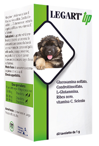 LEGART UP 60 COMPRESSE DA 1 G - latuafarmacia.org