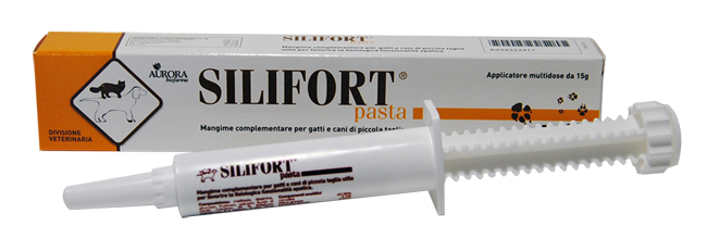 SILIFORT PASTA OS SIRINGA 15 G - latuafarmacia.org