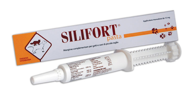 SILIFORT PASTA OS SIRINGA 30 G - latuafarmacia.org