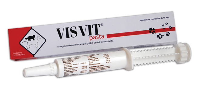 VISVIT PASTA OS SIRINGA 15 G - latuafarmacia.org