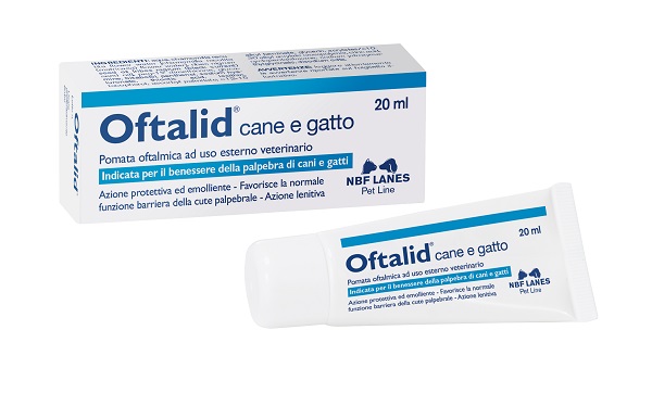 OFTALID POMATA OFTALMICA 20 ML - latuafarmacia.org