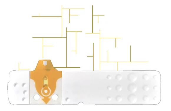 STRISCE MISURAZIONE GLICEMIA LINEA D ORO 50 PEZZI - latuafarmacia.org