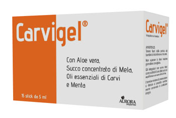 CARVIGEL 15 ORAL STICK 75 ML - latuafarmacia.org