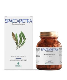 SPACCAPIETRA 50 CAPSULE - latuafarmacia.org