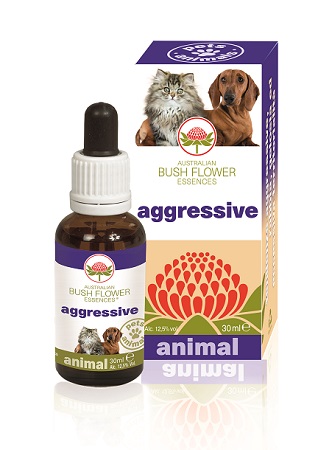 AGGRESSIVE 30 ML - latuafarmacia.org