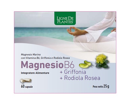 MAGNESIO B6 + GRIFFONIA + RODIOLA 60 CAPSULE - latuafarmacia.org