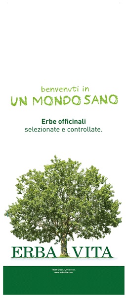 CAMOMILLA ROMANA PRIMA QUALITA' FIORI 1 KG - latuafarmacia.org