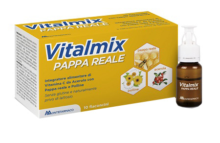 VITALMIX PAPPA REALE 10FLACONCINI X10 ML S/GL - latuafarmacia.org