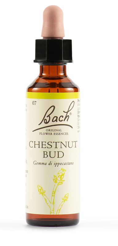 CHESTNUT BUD BACH ORIG 20 ML - latuafarmacia.org
