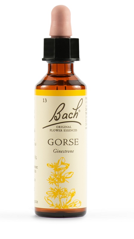 GORSE BACH ORIG 20 ML - latuafarmacia.org