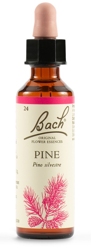 PINE BACH ORIG 20 ML - latuafarmacia.org