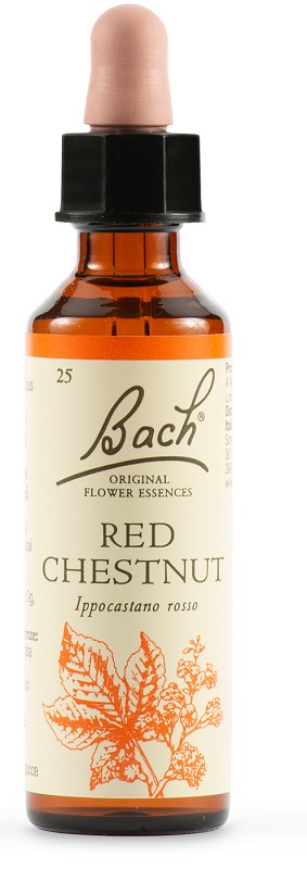 RED CHESTNUT BACH ORIG 20 ML - latuafarmacia.org