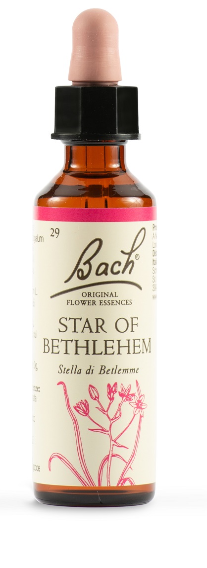 STAR OF BETHL ORIG 20 ML - latuafarmacia.org
