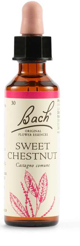 SWEET CHEST BACH ORIG 20 ML - latuafarmacia.org