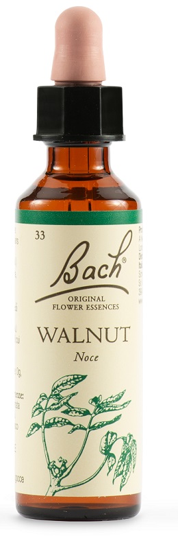 WALNUT BACH ORIG 20 ML - latuafarmacia.org