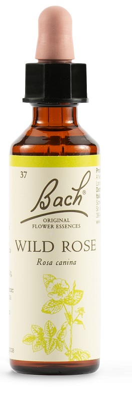 WILD ROSE BACH ORIG 20 ML - latuafarmacia.org