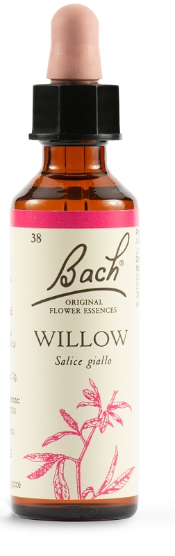 WILLOW BACH ORIG 20 ML - latuafarmacia.org