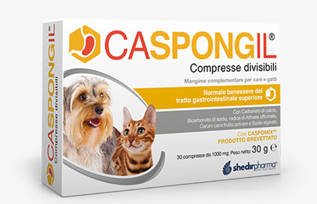 CASPONGIL 30 COMPRESSE DIVISIBILI - latuafarmacia.org