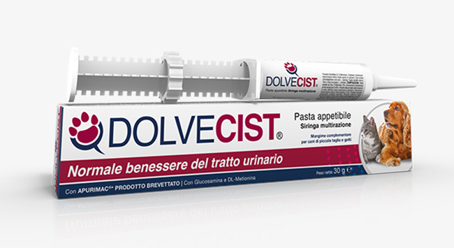 DOLVECIST PASTA SIRINGA 30 G - latuafarmacia.org