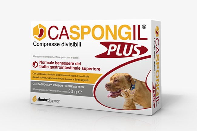 CASPONGIL PLUS 30 COMPRESSE - latuafarmacia.org