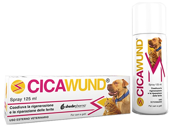 CICAWUND SPRAY 125 ML - latuafarmacia.org