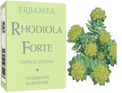 RHODIOLA FORTE 24 CAPSULE - latuafarmacia.org