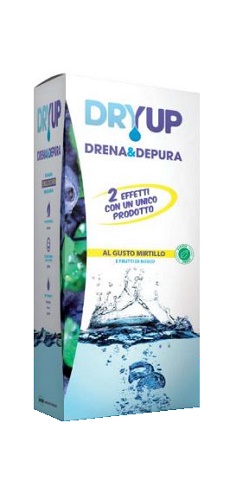 DRYUP MIRTILLO 300 ML - latuafarmacia.org