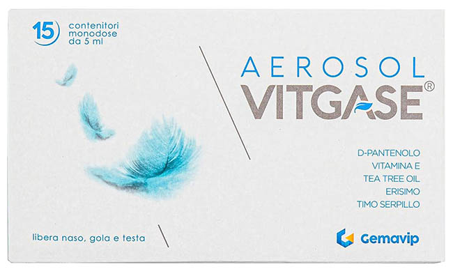 VITGASE AEROSOL 15 FLACONCINI 5 ML - latuafarmacia.org