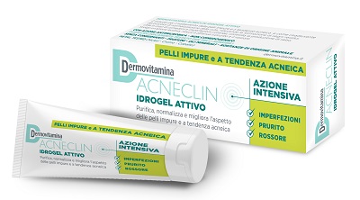 DERMOVITAMINA ACNECLIN IDROGEL ATTIVO AZIONE INTENSIVA 40 ML - latuafarmacia.org