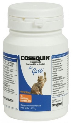 COSEQUIN GATTI 45 CAPSULE - latuafarmacia.org