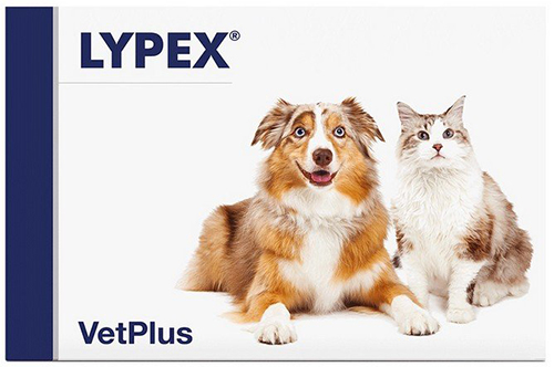 LYPEX 60 CAPSULE - latuafarmacia.org