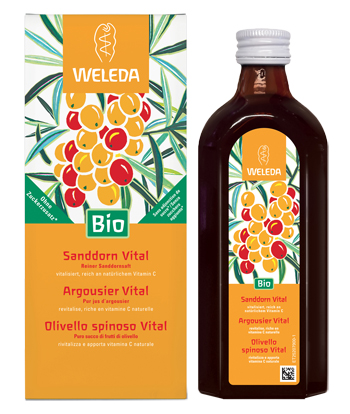 OLIVELLO SPINOSO VITAL SUCCO DI FRUTTA 250 ML - latuafarmacia.org