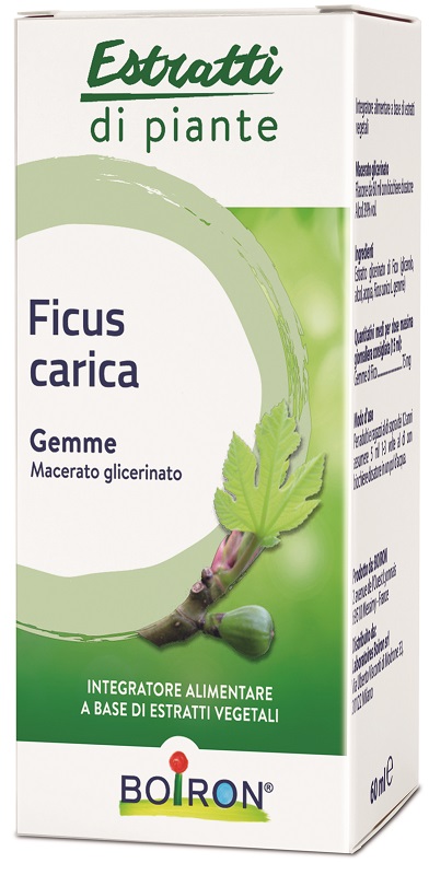 FICUS CARICA BOIRON MACERATO GLICERICO 60 ML - latuafarmacia.org