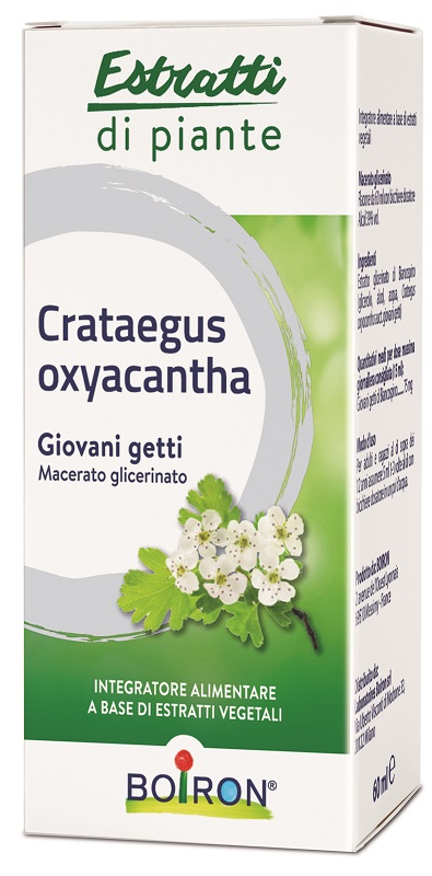 CRATAEGUS BOIRON MACERATO GLICERICO 60 ML - latuafarmacia.org