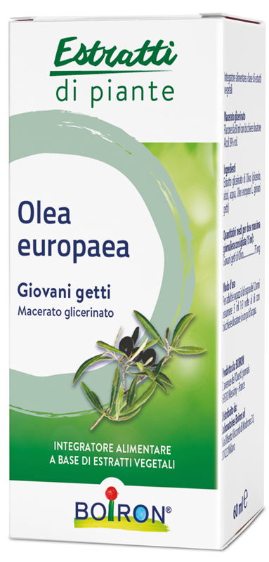 OLEA EUROPAEA BOIRON MACERATO GLICERICO 60 ML - latuafarmacia.org