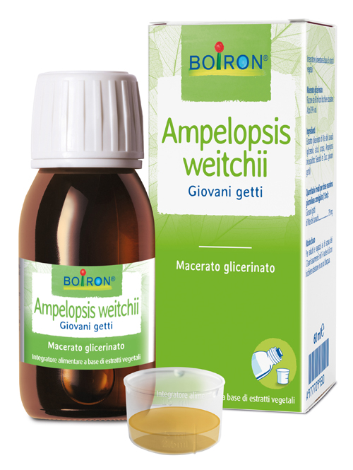 AMPELOPSIS WESTRATTO IDROALCOLICO BOIRON MACERATO GLICERICO 60 ML - latuafarmacia.org