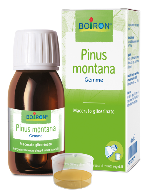 PINUS MONTANA BOIRON MACERATO GLICERICO 60 ML - latuafarmacia.org