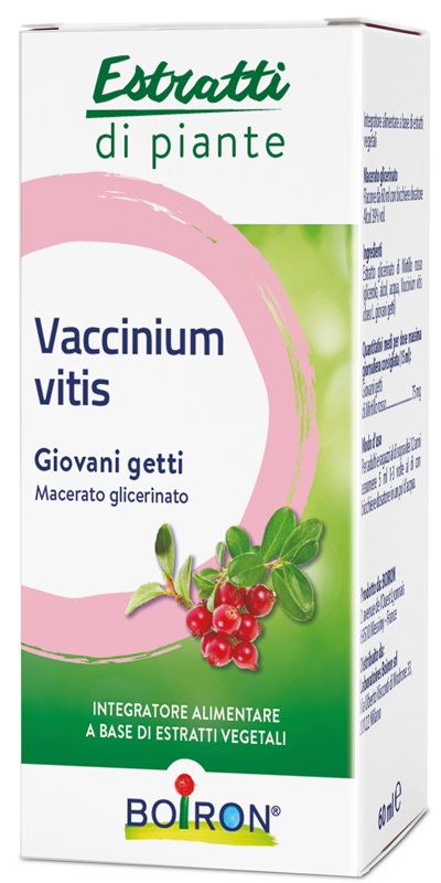 VACCINIUM VITIS MACERATO GLICERICO 60 ML - latuafarmacia.org
