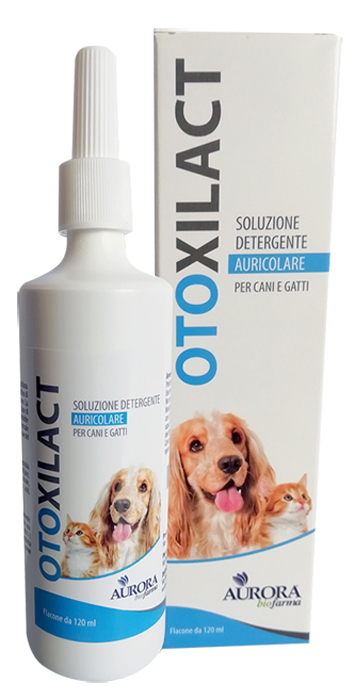 OTOXILACT DETERGENTE AURICOLARE - latuafarmacia.org
