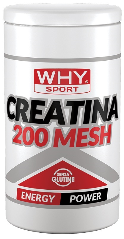 WHYSPORT CREATINA 200 MESH 500 G - latuafarmacia.org
