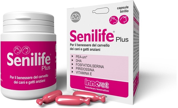 SENILIFE PLUS 30 CAPSULE - latuafarmacia.org