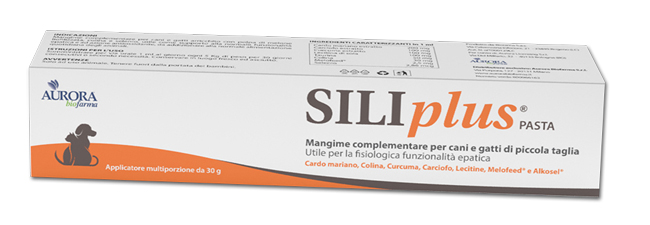 SILIPLUS PASTA 30 G - latuafarmacia.org